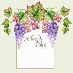 wines label with watercolor grapes