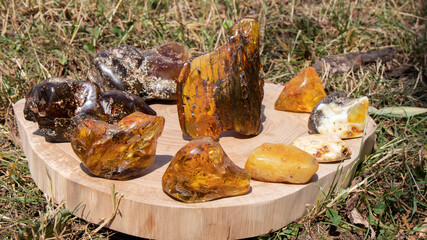 Different pieces of ancient yellow, white and green Baltic amber stones on a wooden surface. Energy...