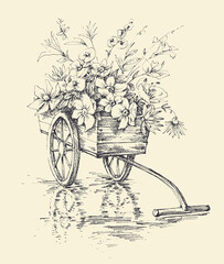 Garden wheelbarrow with flowers. Graphic gardening flower cart isolated - 444286066