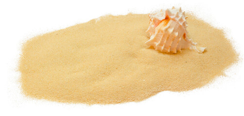Sea shells in sand pile isolated on white background