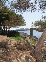 Fototapeta premium Paysage espagnol