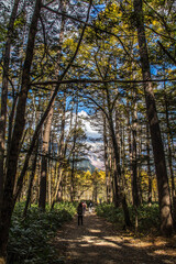 Obraz premium 上高地