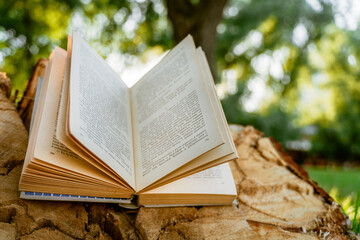 An open book on a wooden stump in the park at sunset