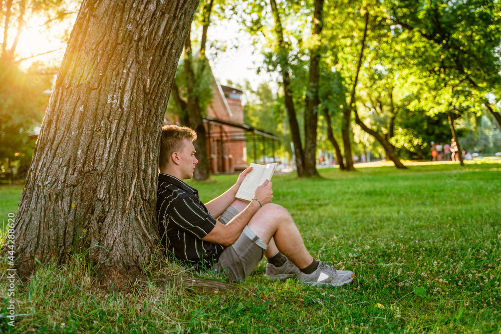 Wall mural a young man is sitting under a tree and reading a book. green summer park at sunset