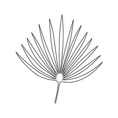 Tropical chamaerops leaf drawn by one line. Floral sketch. Minimal print. Vector illustration.