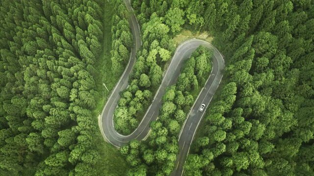Aerial view of a road in the middle of the forest