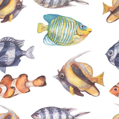 Fish underwater sea ocean corals algae seashells watercolor hand drawn illustration