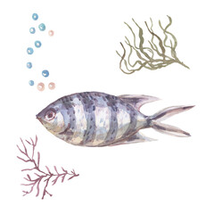 
Fish underwater sea ocean corals algae seashells watercolor hand drawn illustration. Prin textile vintage wild nature bright aquarium fish 