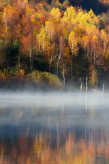 Beautiful autumn forest reflecting in foggy lake