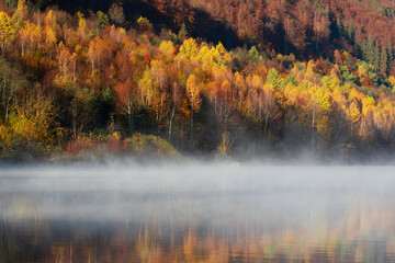 Fog covering the lake in autumn, golden forest reflection