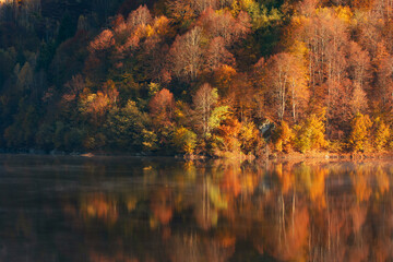 Beautiful autumn forest reflecting in lake