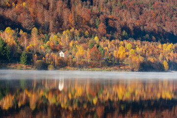 Beautiful autumn forest reflecting in foggy lake, lakehouse in background - 444295483