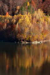 Beautiful autumn forest reflecting in lake