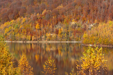 Autumn landscape, forest reflection in lake