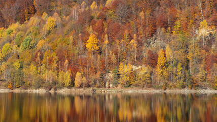 Obraz premium Autumn landscape, forest reflection in lake