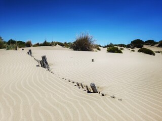 Littoral du sud de la France avec ses dunes, ganivelles pour les protéger et son sable fin à...