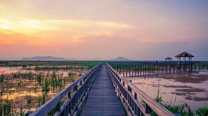 wooden bridge over the lake
