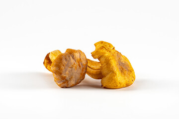 Fresh wild chanterelle mushroom on a white background