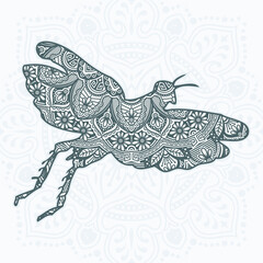 Insect Mandala Vector. Vintage decorative elements. Oriental pattern,