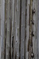 Dark Grey Old Wood Planks. Wooden texture on old buildings