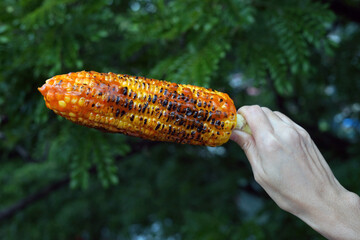 Roasted Corn