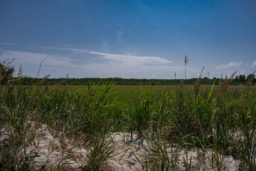 Wonderful landscape in the national park "Vorpommersche Boddenlandschaft"