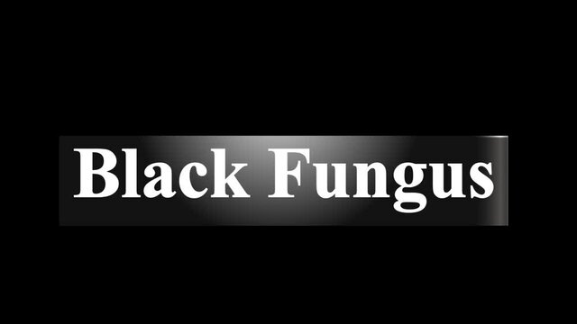 Black fungus written on metallic solid shape, lower third in high resolution, alpha channel (transparent background).