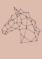 HORSE HEAD LOW POLY BACKGROUND ANIMALS WILD NATURE 