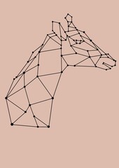 GIRAFFE HEAD LOW POLY BACKGROUND ANIMALS WILD NATURE