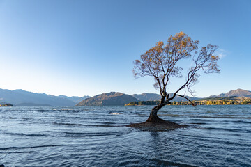 Colourful Lake Wanaka, New Zealand