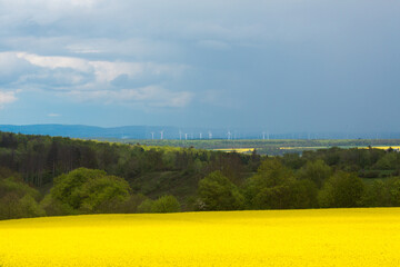 Landscape of the German countryside in summer.