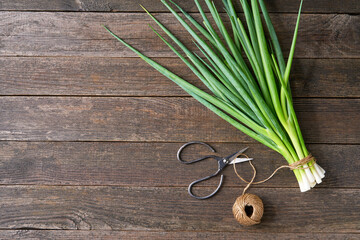 fresh green onion on a wooden table, scissors and rope. Top view, rustic style.