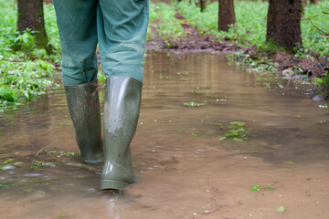 A man walks through the flooded forest in his green rubber boots. Extreme weather caused by climate...