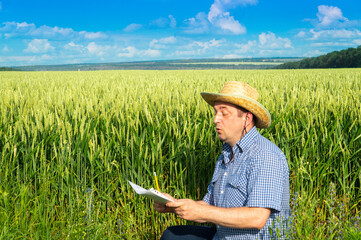 A farmer writes a plan for growing wheat in the field. The idea of caring for a plantation for a good harvest.