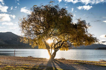 Lake Wanaka . South Island New Zealand