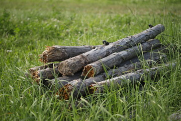 Belki słupki drewniane leżące 