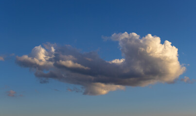 A single white cloud in the light of the setting sun