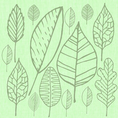 Abstract leaves isolated on green background