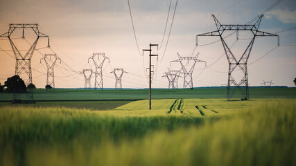 Fototapeta na wymiar Hight voltage pylon in wheat fields