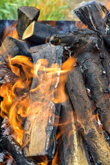 Bonfire made of branches of fruit trees. Flame flutters in wind. Process of preparing coals for barbecue on green lawn. Green grass shines through the flames. Close-up. Selective focus.