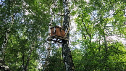 Bee hives with honey high on the trees in the forest.