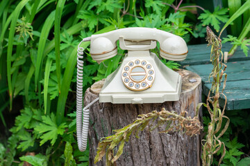 Very old beige retro phone placed on tree stump in greenery background