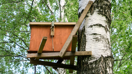 Bee hives with honey high on the trees in the forest.