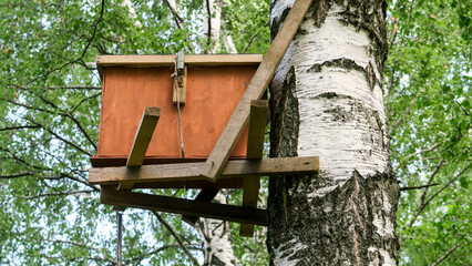 Bee hives with honey high on the trees in the forest.