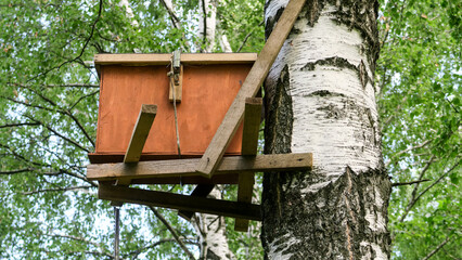 Bee hives with honey high on the trees in the forest.