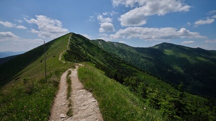 Naklejka na ściany i meble Ridge leading to the Velky Krivan (1 709 m), highest mountain in the Mala Fatra, Slovakia