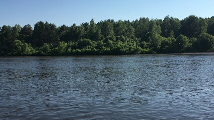 Fototapeta premium lake in the forest