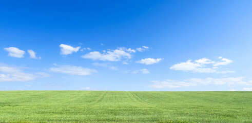 green grass, trees and hills against the background of a large blue sky on a sunny day. Wide view of the countryside. Natural background of green grass, fresh juicy frame.