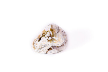 Macro mineral stone Jasper oceanic on a white background
