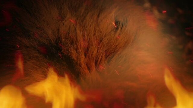 Lion Biting Meat In Fire Closeup